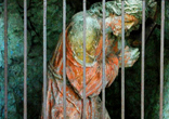 Go visit your imprisoned Lord who longs to see you. Image of Go visit your imprisoned Lord who longs to see you.