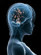 Mind reading is becoming a reality as new research provides improved understanding to how the brain works. Image of Mind reading is becoming a reality as new research provides improved understanding to how the brain works.