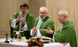 Pope Francis is writing an encyclical on ecology. Image of Pope Francis is writing an encyclical on ecology.
