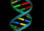 Image of Genetic engineering is contrary to the Word of God. The church should both stand against, and pray against this evil.