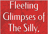 Download your copy of the free Kindle e-book 'Fleeting Glimpses of the Silly, Sentimental and Sublime' by Michael Seagriff O.P. on January 28th to January 30th. Image of Download your copy of the free Kindle e-book 'Fleeting Glimpses of the Silly, Sentimental and Sublime' by Michael Seagriff O.P. on January 28th to January 30th.