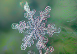 Snowflakes are one of God's miracles. Each snowflake is uniquely shaped with infinite possibilities. Image of Snowflakes are one of God's miracles. Each snowflake is uniquely shaped with infinite possibilities.