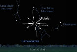 You can look anywhere in the sky, as long as it's dark. Southern hemisphere viewers will see far fewer meteorites because the shower is literally raining down on the northern hemisphere. Image of You can look anywhere in the sky, as long as it's dark. Southern hemisphere viewers will see far fewer meteorites because the shower is literally raining down on the northern hemisphere.