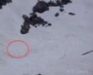 Is this the elusive Sasquatch? Image of Is this the elusive Sasquatch?