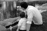 I will miss my father this Father's Day. I miss him even as I write this article. I guess, following my own instruction, it simply shows me how much I loved him - and still love him. If you still have your father with you, love him openly and affectionately and let him know how important he is to you.Together, let us celebrate the Gift of Fatherhood and kneel before the Father from whom every family in Heaven and on Earth is named in deep gratitude for the very gift of Fatherhood. Image of I will miss my father this Father's Day. I miss him even as I write this article. I guess, following my own instruction, it simply shows me how much I loved him - and still love him. If you still have your father with you, love him openly and affectionately and let him know how important he is to you.Together, let us celebrate the Gift of Fatherhood and kneel before the Father from whom every family in Heaven and on Earth is named in deep gratitude for the very gift of Fatherhood.