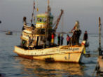 Forced to work on old fishing boats, slaves work 20-hour days, often with drugs to keep them going. They are not paid, having been bought and sold into the industry. Image of Forced to work on old fishing boats, slaves work 20-hour days, often with drugs to keep them going. They are not paid, having been bought and sold into the industry.