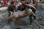 It is very likely this is a distressing event for the animal and while it may have been viewed favorably in the past, such activities are increasingly frowned upon today. The lack of statement from the parish is disconcerting. (Image via Jordan Turner.) Image of It is very likely this is a distressing event for the animal and while it may have been viewed favorably in the past, such activities are increasingly frowned upon today. The lack of statement from the parish is disconcerting. (Image via Jordan Turner.)
