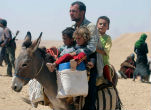 An Iraqi man flees with children on a donkey amid hundreds of other refugees. Christians and other ethnic minorities have been driven from their ancient homelands and into camps. Image of An Iraqi man flees with children on a donkey amid hundreds of other refugees. Christians and other ethnic minorities have been driven from their ancient homelands and into camps.