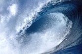 The facts speak for themselves. This was not simply a Republican wave, it was a Tsunami. What will follow in its wake is up to us. Image of The facts speak for themselves. This was not simply a Republican wave, it was a Tsunami. What will follow in its wake is up to us.