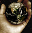 Image of