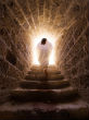 Image of