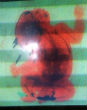 Image of