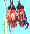 Image of