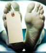 Image of