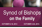 Pope Francis understands the critical importance of the traditional nuclear family in God's plan for human society in general and for the Church in particular. Image of Pope Francis understands the critical importance of the traditional nuclear family in God's plan for human society in general and for the Church in particular.
