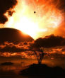 Image of