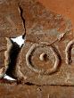 The inscription is read as Eshba'al Ben Bada. Image of The inscription is read as Eshba'al Ben Bada.