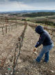 The lack of a sufficient water source in parts of California damages agricultural farmlands Image of The lack of a sufficient water source in parts of California damages agricultural farmlands