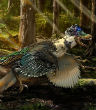 Image of