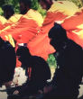 Image of