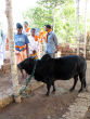 Image of