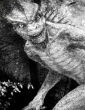 Image of