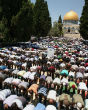 Muslims praying in Jerusalem's holy city. Image of Muslims praying in Jerusalem's holy city.