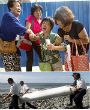 Devastated families of the MH370 flight victims. Image of Devastated families of the MH370 flight victims.