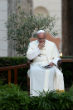 Pope Francis has declared a world day of prayer for Creation, asking all Catholics to pray and act for the environment and the poor. Image of Pope Francis has declared a world day of prayer for Creation, asking all Catholics to pray and act for the environment and the poor.