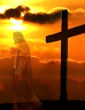 Image of