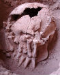 Image of