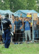 Migrants work together to distribute food local authorities toss into a crowd. Image of Migrants work together to distribute food local authorities toss into a crowd.