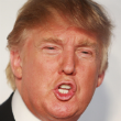 This head is worth a cool $100 million, a fact which can only make it bigger. Image of This head is worth a cool $100 million, a fact which can only make it bigger.