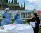 Organ theft awareness (Xiaoyan Sun). Image of Organ theft awareness (Xiaoyan Sun).
