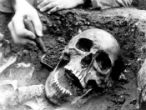 Scientists studying plague victims have discovered the disease is much older than previously believed. Image of Scientists studying plague victims have discovered the disease is much older than previously believed.