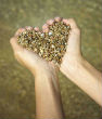 Serving God. Image of Serving God.