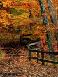 Image of