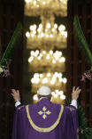Pope Francis opening the Holy Door at St. Peter's Basilica in Rome. Image of Pope Francis opening the Holy Door at St. Peter's Basilica in Rome.