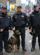 NYPD on alert (ABC). Image of NYPD on alert (ABC).