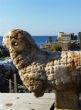 The ram was discovered by the Caesarea Development Corporation and the Israel Antiquities Authority (Vered Sarig/The Caesarea Development Corporation). Image of The ram was discovered by the Caesarea Development Corporation and the Israel Antiquities Authority (Vered Sarig/The Caesarea Development Corporation).