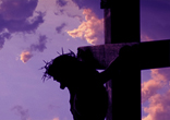 Image of