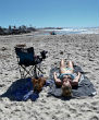 Californians are making the most of the unseasonable weather, sunbathing on the beaches as rain falls far to the north of Los Angeles. Image of Californians are making the most of the unseasonable weather, sunbathing on the beaches as rain falls far to the north of Los Angeles.