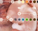 Gene editing has arrived, but its ethical implications are massive. Image of Gene editing has arrived, but its ethical implications are massive.