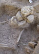 A prehistoric village may show evidence of one of the world's first farmers (PLoS One). Image of A prehistoric village may show evidence of one of the world's first farmers (PLoS One).