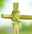 Image of