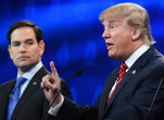 Don't cry that Marco Rubio is out, be happy that the Republican Party is about to flourish. Image of Don't cry that Marco Rubio is out, be happy that the Republican Party is about to flourish.