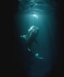 The Mariana Trench, off Guam in the South Pacific is the deepest place in the ocean. Image of The Mariana Trench, off Guam in the South Pacific is the deepest place in the ocean.