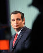 Sorry Ted, it was a good run, but not good enough. Image of Sorry Ted, it was a good run, but not good enough.