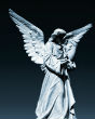 Miraculous film footage may have captured angels in flight over Austria. Image of Miraculous film footage may have captured angels in flight over Austria.