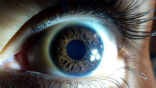 Fatal Familial Insomnia is a horrifying killer. About 40 families in the world have the deadly genetic mutation in their genes. Image of Fatal Familial Insomnia is a horrifying killer. About 40 families in the world have the deadly genetic mutation in their genes.
